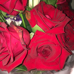 欧美亚男同志色情视频网站
